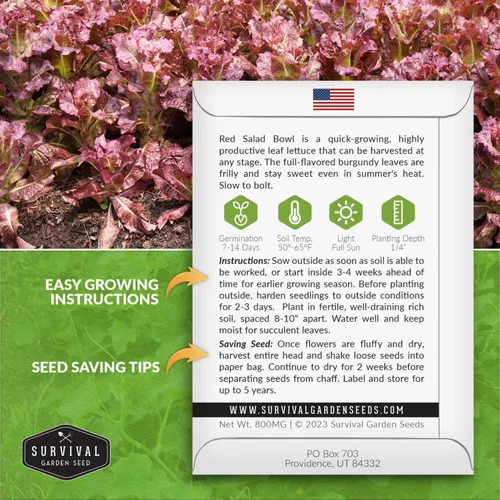 Miniatura 2 de Semillas de lechuga roja para plantar, 1 paquete con instrucciones para plantar y cultivar lechuga de hoja suelta en tu huerto casero, variedad