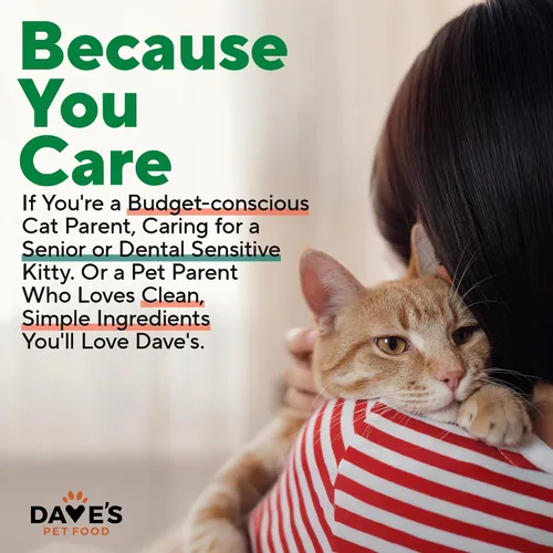 Miniatura 9 de Dave's Pet Food Paté húmedo sin granos para gatos (Turquía), fabricado en Estados Unidos naturalmente saludable, conservado, vitaminas y minerales