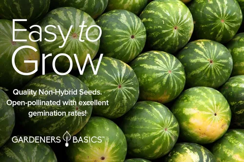 Miniatura 6 de Gardeners Basics, semillas de melón para plantar en el jardín de casa, paquetes de 5 variedades - Hales Best Cantaloupe, Crimson Sweet Watermelon