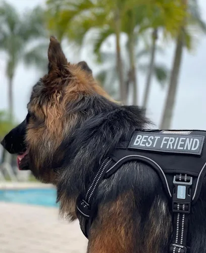 Miniatura 6 de Auroth Arnés táctico para perros grandes, antitirones, ajustable, reflectante, K9, chaleco de entrenamiento para mascotas, arnés de servicio Negro