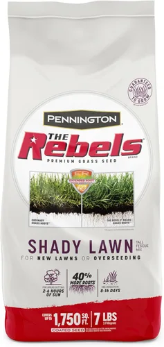 Miniatura 13 de Pennington The Rebels mix de semillas de césped Tall Fescue para zonas sombrías, 3 libras