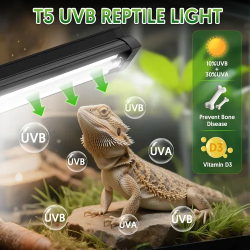 Miniatura 2 de QZQ Kit combinado de accesorio de luz T5 UVB para reptiles 8W, luz UVB de 10.0 para reptiles, campana de terrario viene con lámpara de reptil