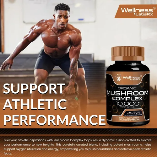 Miniatura 7 de WELLNESS LABSRX Cápsulas de suplemento de hongos extracto 10:1, cápsulas complejas de hongos 1000 mg, suplemento de melena de león con cola de pavo