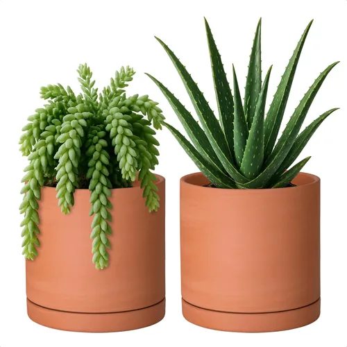 Miniatura 14 de D'vine Dev Maceta de Terracota Extra Pequeña de 4 Pulgadas con Orificio de Drenaje y Platillo, Maceta Cilíndrica Redonda para Plantas