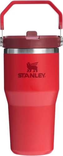Miniatura 65 de Stanley IceFlow - Vaso con pajilla abatible con asa, de 20 onzas, tapa giratoria y popote abatible, botella de agua resistente a fugas, acero