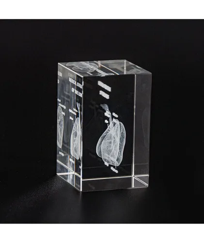 Miniatura 7 de Ultrassist Modelo 3D de Pulmón Humano de Cristal, Modelo Anatómico Grabado Láser para Decoración de Hogar y Oficina, Regalos para Neumólogos