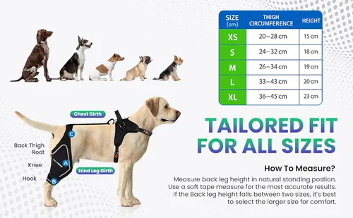 Miniatura 4 de Rodillera ajustable para perro- Pierna trasera derecha con arnés integrado- Soporte premium para recuperación de ligamento cruzado anterior