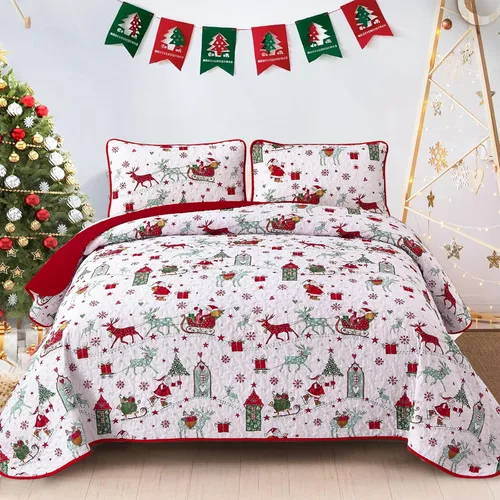 DJY Juego de edredón de Navidad tamaño Queen con diseño de reno, copos de nieve y trineo, juego de ropa de cama acolchada de 3 piezas, cubrecama