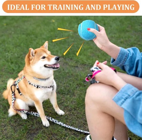 Miniatura 5 de DIVINA VITAE 20 pelotas de tenis pequeñas para perros, 2 pulgadas, coloridas mini pelotas de tenis para todos los lanzadores de pelotas de perro