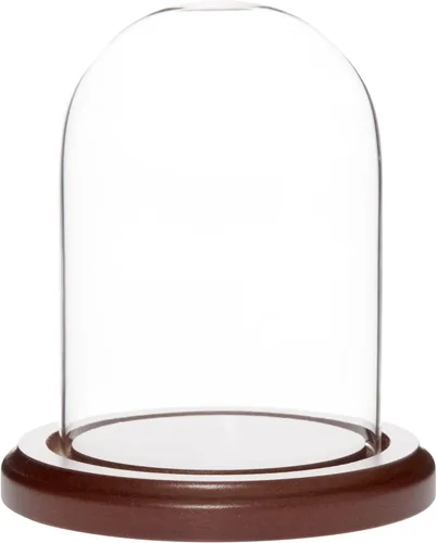 Miniatura 3 de Plymor Cúpula de cristal de 3" x 4" (base de chapa de roble)