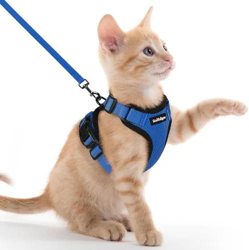 Miniatura 70 de rabbitgoo Juego de arnés y correa para gatos, arnés a prueba de escapes para paseos seguros al aire libre, chaleco suave transpirable ajustable
