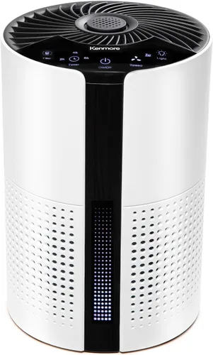 Kenmore PM1010 Purificadores de aire para dormitorio hasta 348 pies cuadrados con filtro HEPA H13 auténtico, traba para niños, modo de sueño para