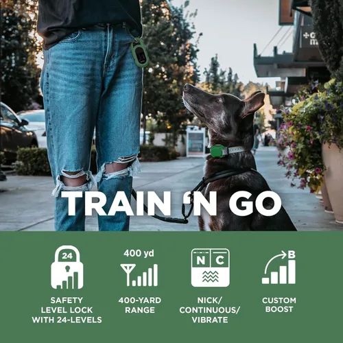 Miniatura 2 de Dogtra CUE Verde – Collar electrónico para entrenamiento de perros con control remoto – Entrenamiento hecho fácil para dueños de perros cotidianos