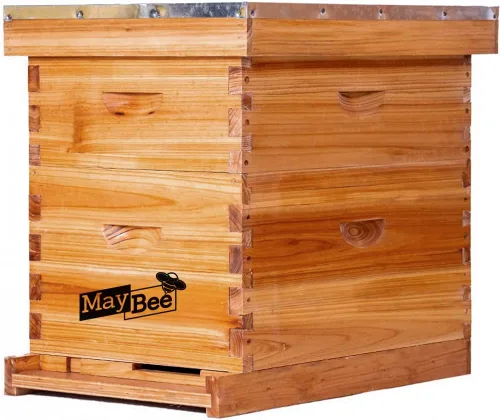 Miniatura 8 de Beehive - Kit de iniciación de 8 marcos para colmenas de abejas y suministros, colmena de abejas para principiantes, colmena de abejas incluye 1