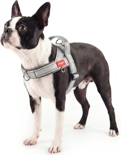 Miniatura 12 de Arnés para perro sin tirón con asa, chaleco reflectante ajustable Corgi, arnés para mascotas acolchado con malla de aire transpirable con clip
