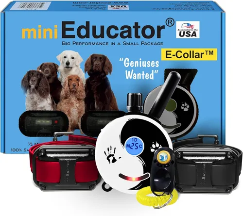 Miniatura 10 de Educator ET-302 Collar Mini Negro E para Adiestramiento de Perros con Control Remoto - Alcance de 1/2 Milla, Resistente al Agua, 100 Niveles