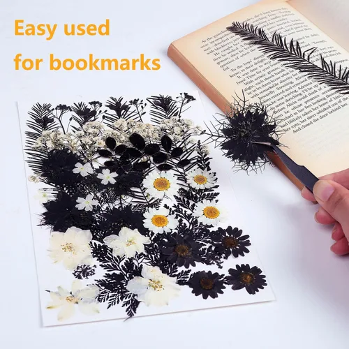 Miniatura 5 de 12 tipos 48 piezas flores secas prensadas reales para resina, herbario de plantas de hojas para fabricación de joyas artesanales (negro y blanco)