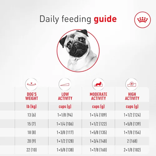 Miniatura 10 de Royal Canin Pug - Alimento seco específico para perros de raza adulta, bolsa de 10 libras