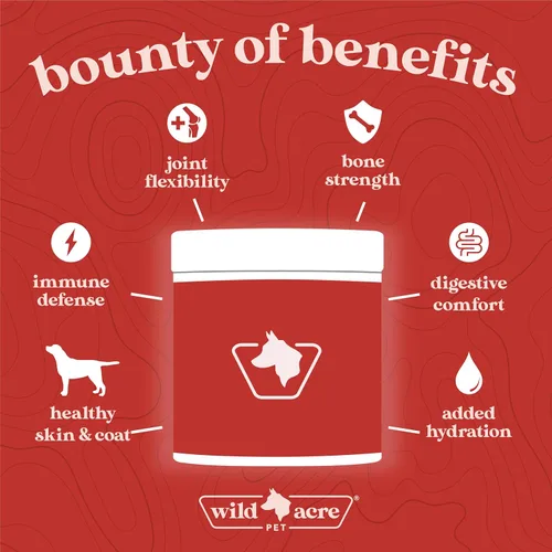 Miniatura 4 de Wild Acre Caldo de hueso de res prémium para perros, alto contenido en proteínas + colágeno mejorado con mezcla de hongos para huesos fuertes
