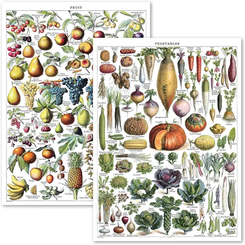 Póster vintage de frutas y verduras, tabla de referencia de identificación botánica, decoraciones de cocina, juego de 2 pósteres (laminados, 18 x 24
