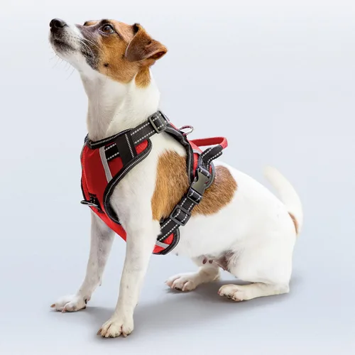 Miniatura 37 de Arnés antitirones para perro pequeño con 2 hebillas de liberación rápida y mango de fácil control, chaleco suave reflectante sin estrangulamiento