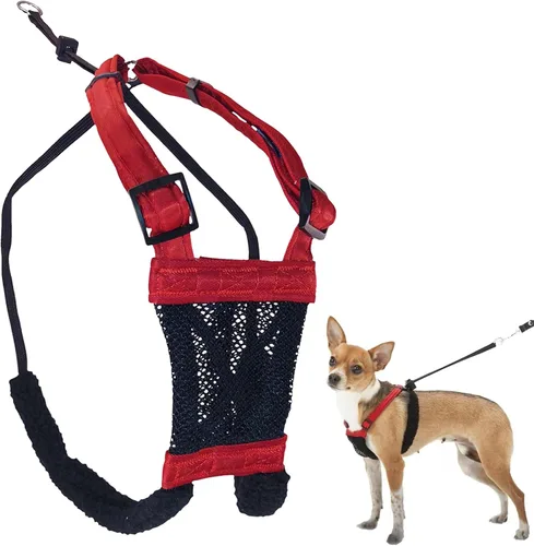 Miniatura 14 de Arnés para perro Sporn sin tirones para perros pequeños - Negro de malla, nylon resistente, transpirable, liviano, ajustable, acolchado, suave