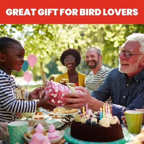 Miniatura 9 de More Birds - Comedero vintage para colibríes, botella de vidrio antiguo, 5 puertos de alimentación, capacidad de néctar de 20 onzas