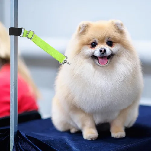 Miniatura 4 de Paterr 5 piezas de accesorios de brazo de aseo para perros y mascotas, correa de extensión, bucles de aseo ajustables, extensor de brazo de aseo
