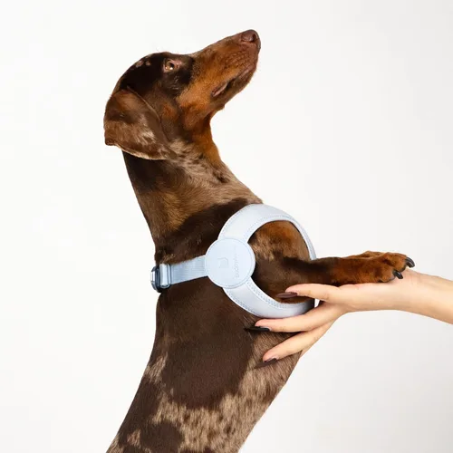 Miniatura 9 de Arnés Ultra Cómodo para Perros Ajustable Chaleco Suave para Perros, Cierre de Hebilla de Aleación Ligero Elástico Arnés para Cachorros Step in