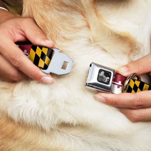 Miniatura 8 de Collar de perro hebilla de cinturón de seguridad Maryland Banderas 9 a 15 pulgadas 1.0 pulgadas de ancho