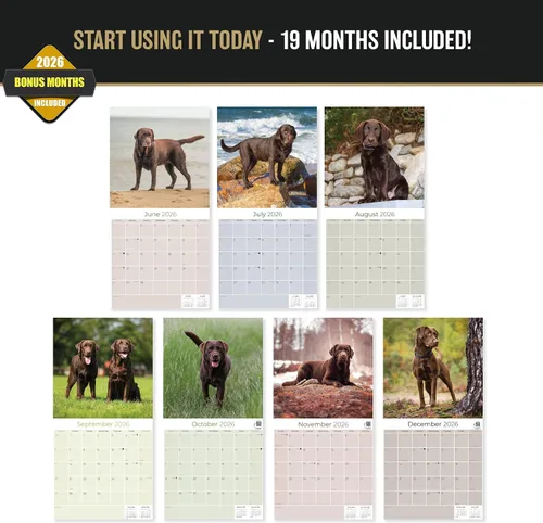 Miniatura 3 de Calendario de chocolate Labrador 2025 2026 – Calendario mensual de pared de raza de perro – 12 x 24 pulgadas abierto – Papel grueso sin sangrado