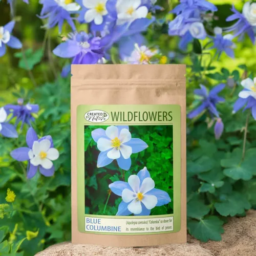 Miniatura 2 de Created By Nature Blue Columbine Flower Seeds, 2,400 semillas perennes, flor del estado de Colorado