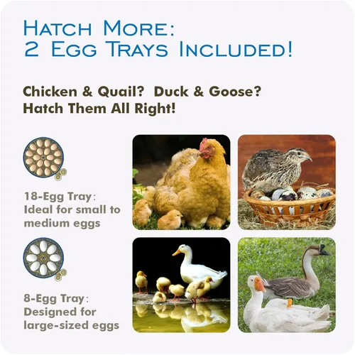 Miniatura 5 de OtterVerz 11 Incubadoras de huevos para incubar 18-36 huevos de pollo, codorniz/pavo, incubadora de aves de corral con visión de 360° con giro