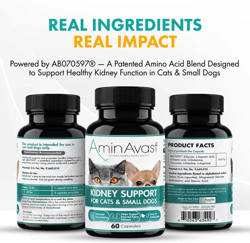 Miniatura 5 de AminAvast Apoyo renal para perros pequeños y gatos - Promueve el apoyo renal saludable en gatos y perros pequeños - 300 mg, 60 cápsulas