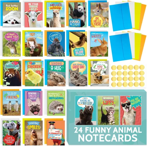 T MARIE 24 divertidas tarjetas de felicitación de animales, diseños humorísticos sin repeticiones, tarjetas de notas a granel de 4.5 x 6.25 pulgadas