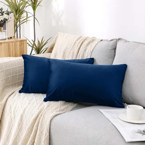 Miniatura 40 de NiNi ALL - Juego de 2 fundas de almohada decorativas de terciopelo, fundas de almohada para sofá, fundas de almohada para dormitorio, sala de estar