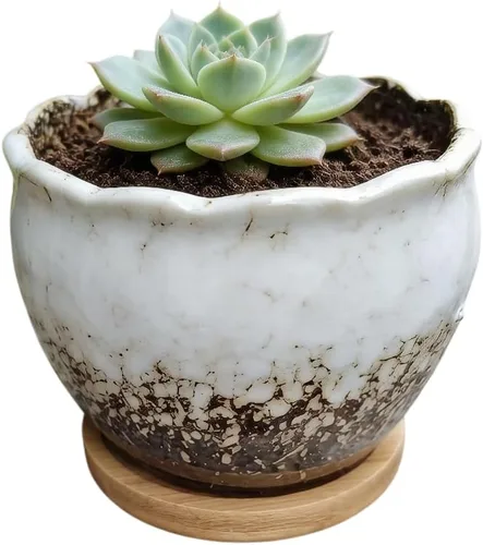 Miniatura 18 de Bonita maceta circular de cerámica para decoración del hogar y jardín, suculentas, cactus, maceta no incluida (azul, 3.19 pulgadas)