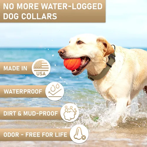 Miniatura 3 de Biothane - Collar de perro con hebilla de cobra, fabricado en Estados Unidos, etiqueta de identificación con código QR incluida, collares de perro