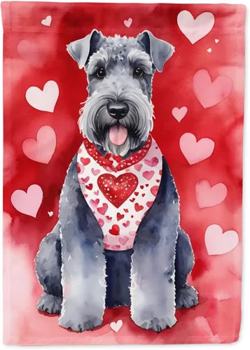 Miniatura 166 de Caroline's Treasures DAC5292CHF - Bandera de Border Collie My Valentine House para porche, grande, con manga para porche, para colgar en la pared