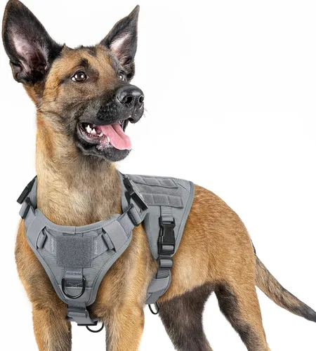 Miniatura 57 de rabbitgoo - Arnés táctico para perros pequeños, arnés resistente para mascotas con asa, chaleco de servicio sin tirones para razas pequeñas, chaleco