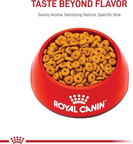 Miniatura 9 de Royal Canin Feline Care Nutrition Appetite Control Care Alimento seco para gatos adultos, bolsa de 6 libras