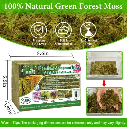 Miniatura 2 de Halatool Musgo de bosque verde de 1.1 libras, musgo esfagnum natural de 25 cuartos para plantas, musgo de orquídea esponjoso para trasplante