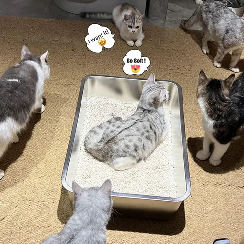 Miniatura 8 de LIHONG Caja de arena de acero inoxidable para gatos, caja de arena de metal extra grande para gatos grandes, gatitos, conejos, sin olor, 6 pulgadas