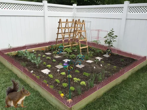 Miniatura 6 de Paquete de 24 palomas para pájaros para exteriores con 30 bridas para cables, picos disuasorios de pájaros para palomas y otras aves pequeñas, picos