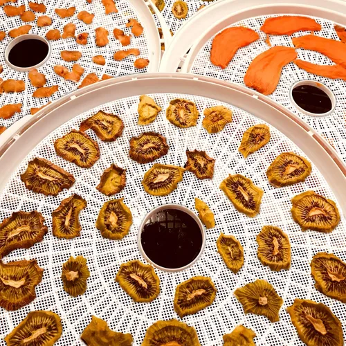 Miniatura 5 de DOSTK - Paquete de 8 hojas deshidratadoras redondas de silicona, malla de silicona antiadherente de alta calidad para deshidratador de frutas, forro