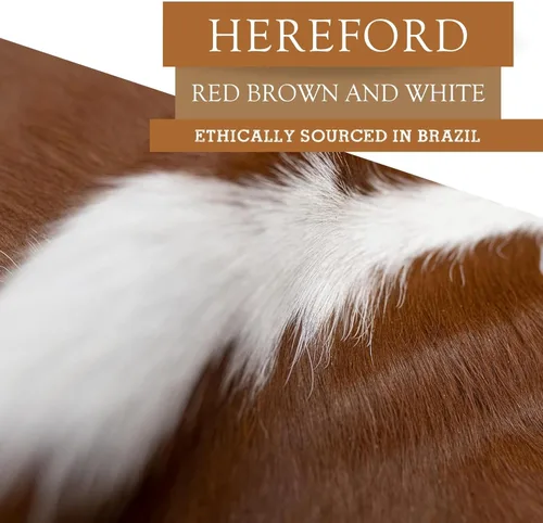 Miniatura 6 de Sunshine Cowhides Genuino Hereford - Alfombra de piel de vaca roja, marrón y blanca, lujosa alfombra de vaca para dormitorio, sala de estar