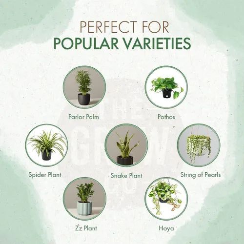 Miniatura 2 de Alimento para plantas de interior – Fertilizante multiusos (alternativa líquida) – Lo mejor para plantas de interior + plantas comunes de exterior