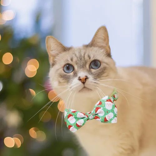 Miniatura 8 de Paquete de 2 collares de gato de Papá Noel de Navidad con patas de invierno y copo de nieve con pajarita y campana, lindo collar de gatito navideño
