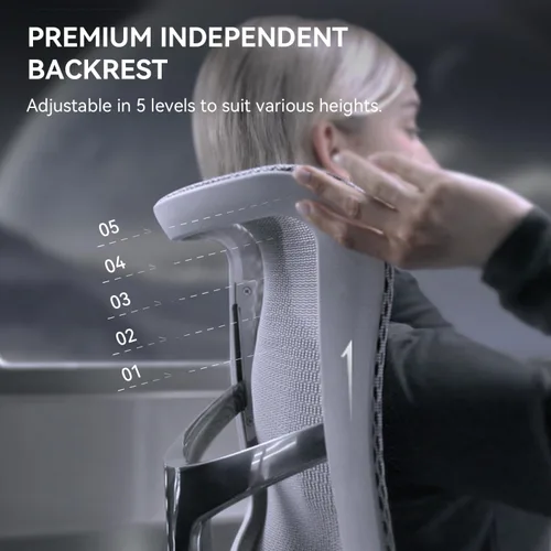 Miniatura 4 de SIHOO Doro S300 Silla Ergonómica de Oficina, Silla de Computadora, Silla Gaming con Soporte Lumbar Dinámico Doble, Reposabrazos Coordinados 6D