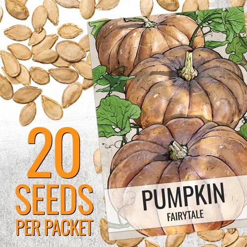 Miniatura 3 de Seed Needs Semillas de calabaza para plantar calabazas de cuento de hadas, reliquia sin OMG y semillas de vegetales Cucurbita sin tratar para Cuento